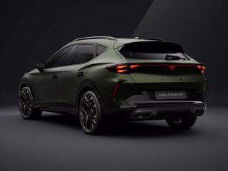 CUPRA Formentor 2.0 TSI 4Drive DSG Tribe Edition 2