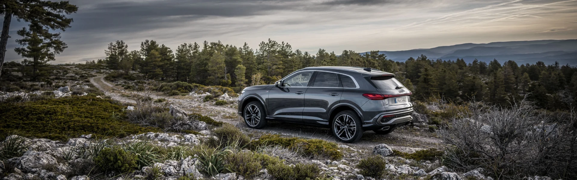 Nuova Q5 Suv Land