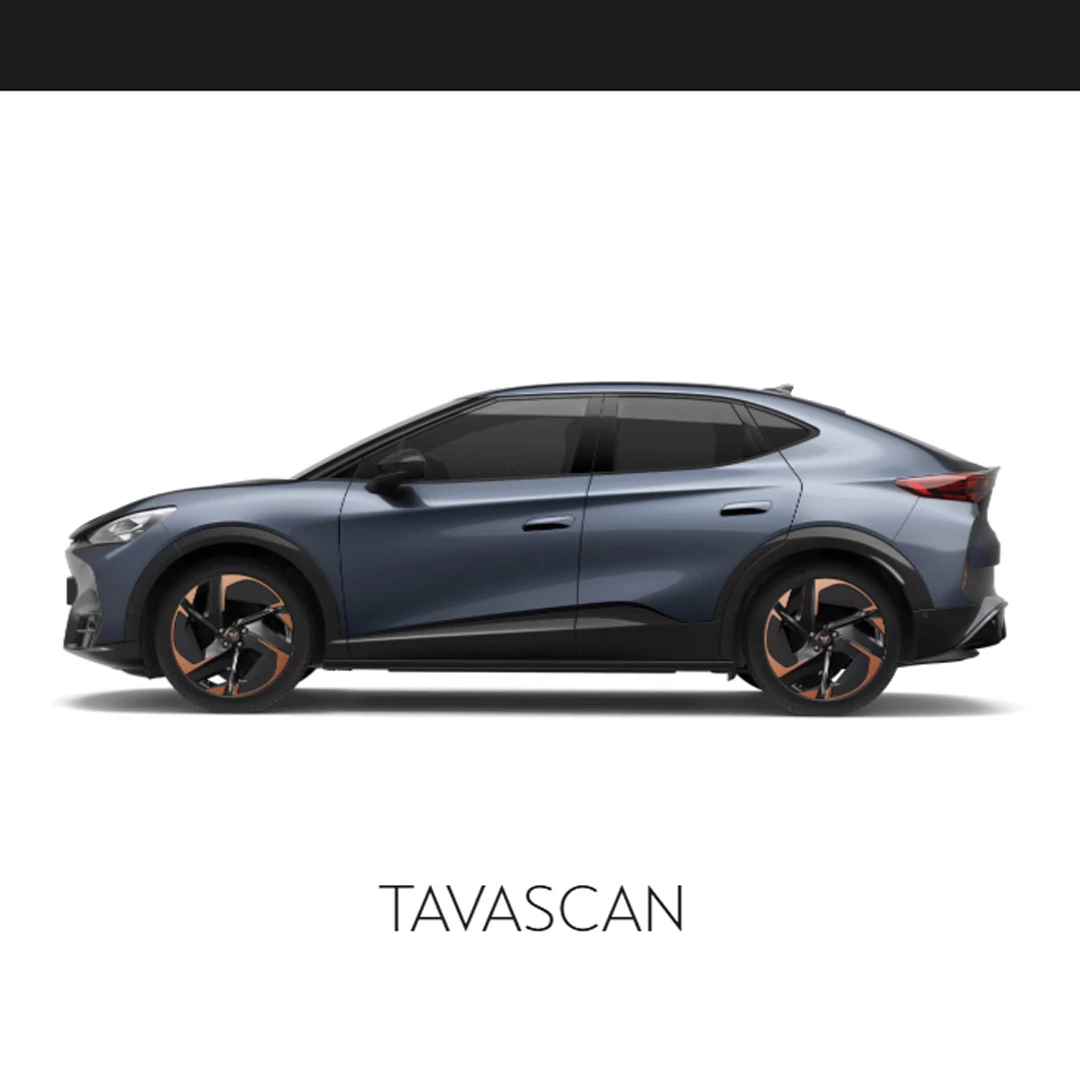 TAVASCAN