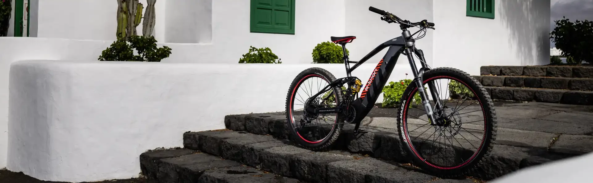 Audi Electric Mountain Bike