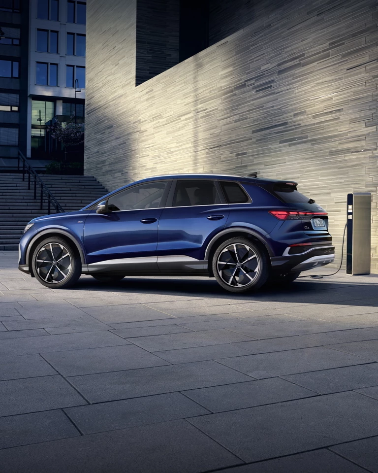 Q4 CUSTOM EDITION